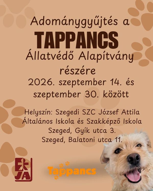 Adománygyűjtés a Tappancs Alapítványnak