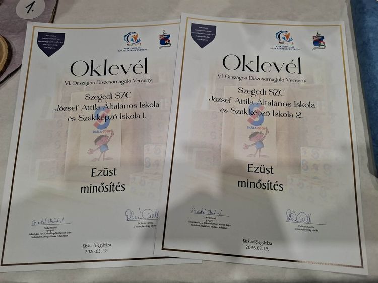 VI. Országos Díszcsomagolási Verseny