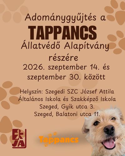 Adománygyűjtés a Tappancs Alapítványnak