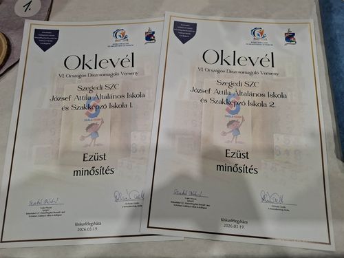 VI. Országos Díszcsomagolási Verseny